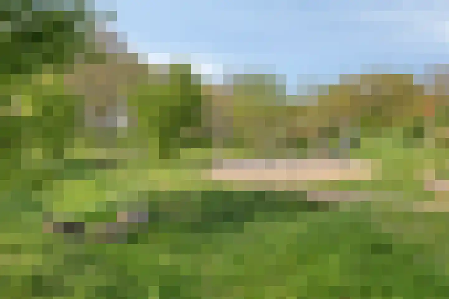 Heggerank 105 Cuijk thumbnail 43