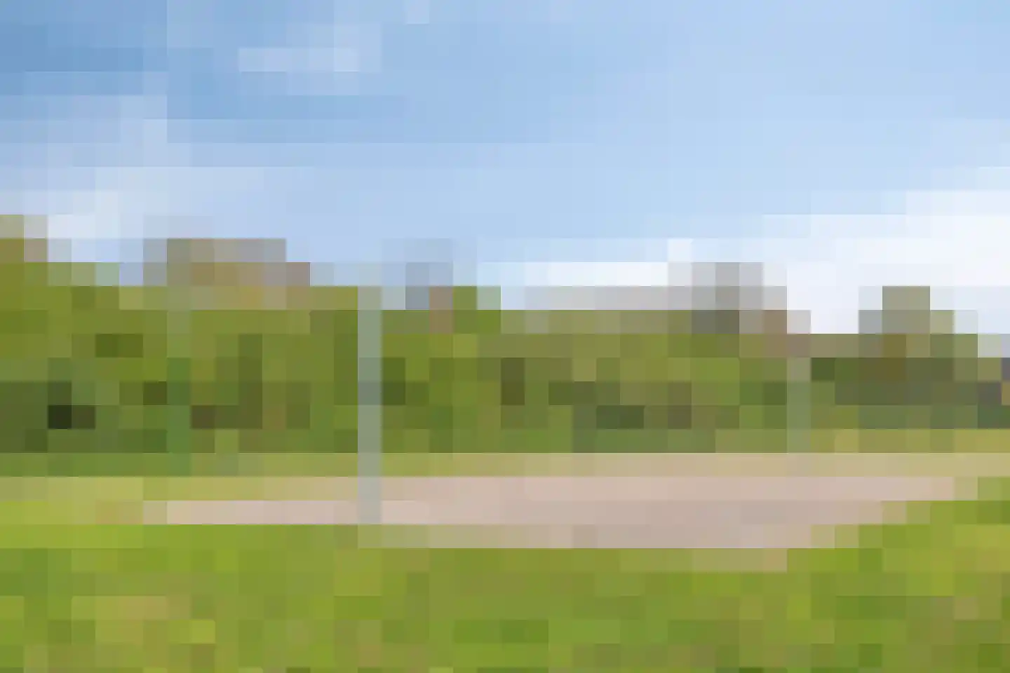 Heggerank 105 Cuijk thumbnail 44