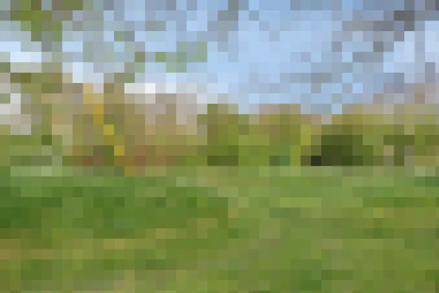 Heggerank 105 Cuijk thumbnail 45