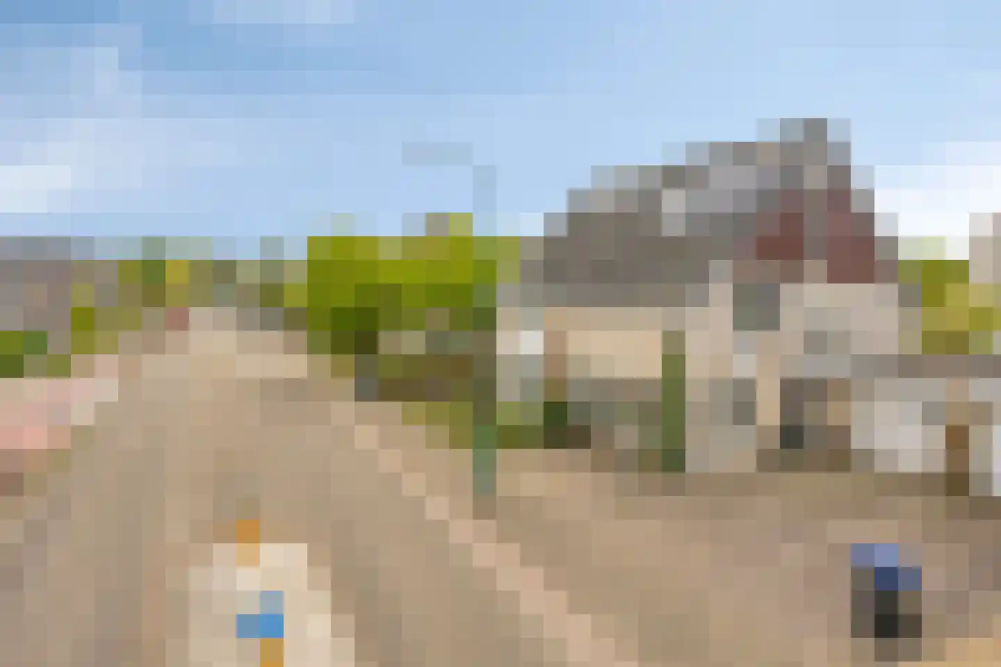 Heggerank 105 Cuijk thumbnail 7