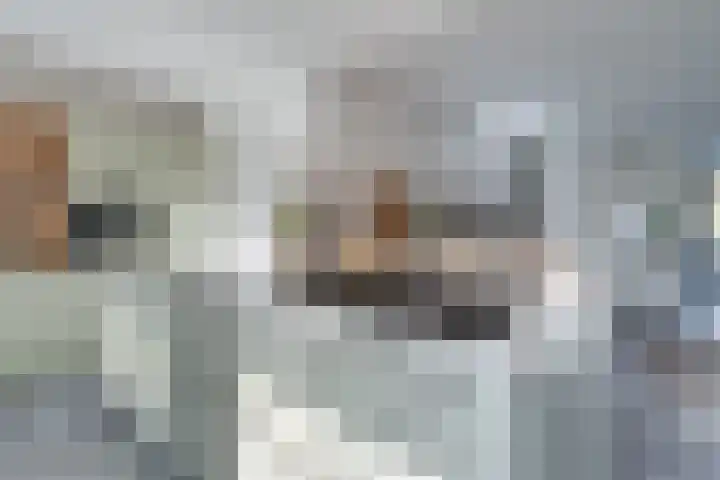 Heggerank 12 Leusden thumbnail 13
