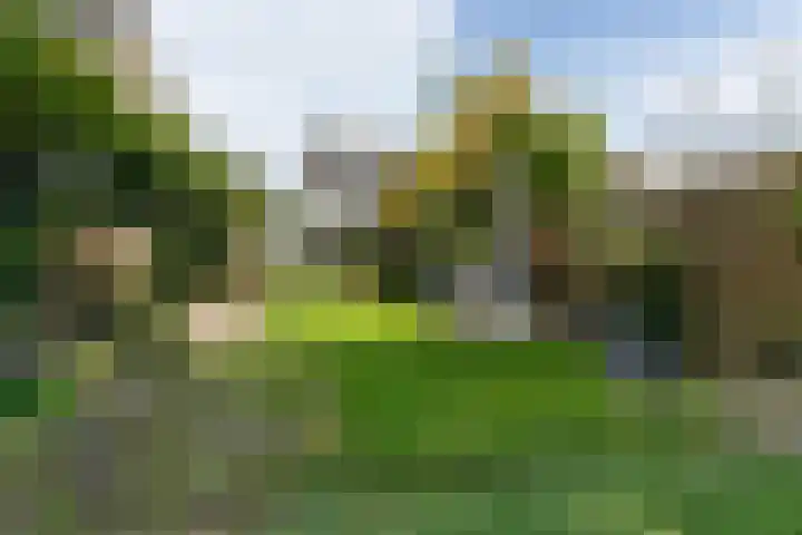Heggerank 12 Leusden thumbnail 36