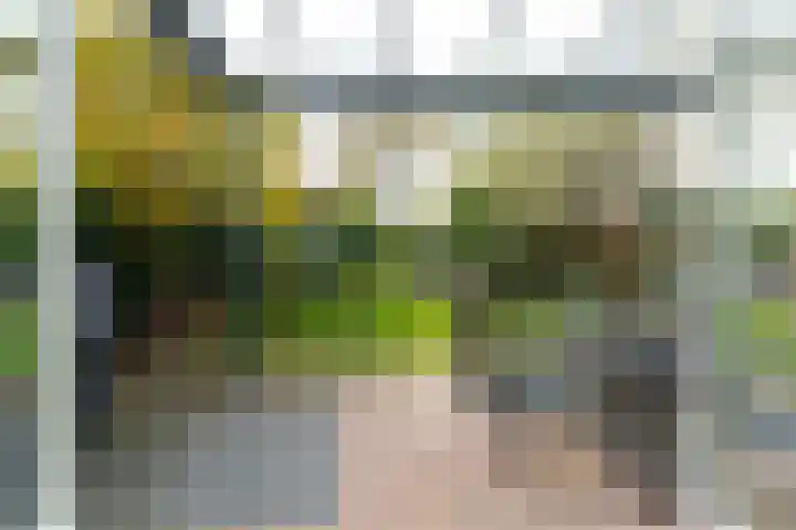 Heggerank 12 Leusden thumbnail 38