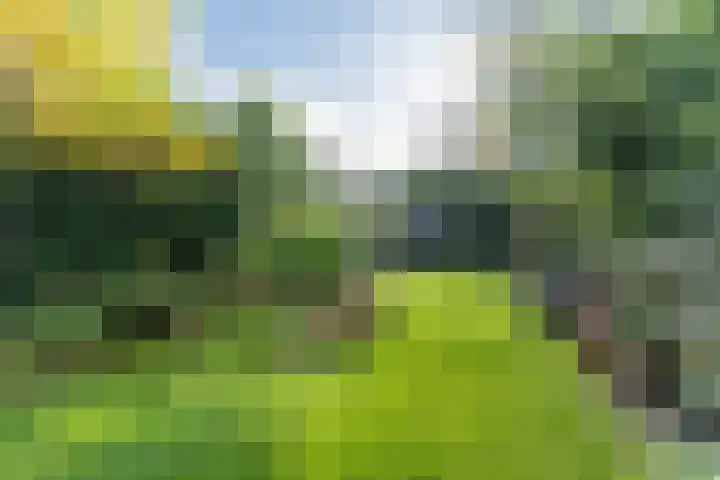 Heggerank 12 Leusden thumbnail 39