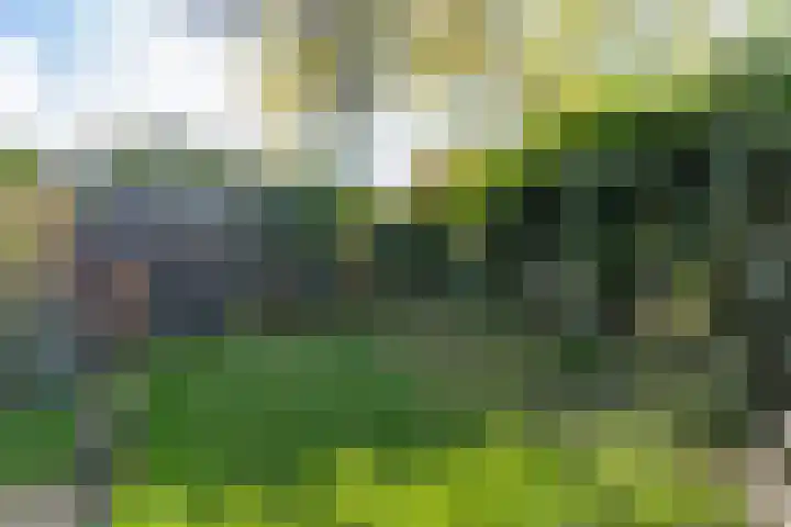 Heggerank 12 Leusden thumbnail 40