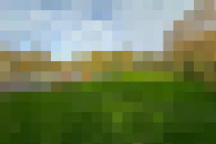 Heggerank 12 Leusden thumbnail 41