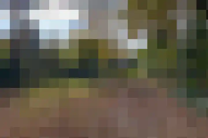 Heggerank 12 Leusden thumbnail 42