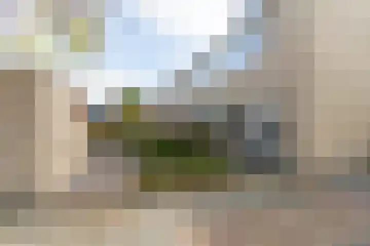 Heggerank 12 Leusden thumbnail 43