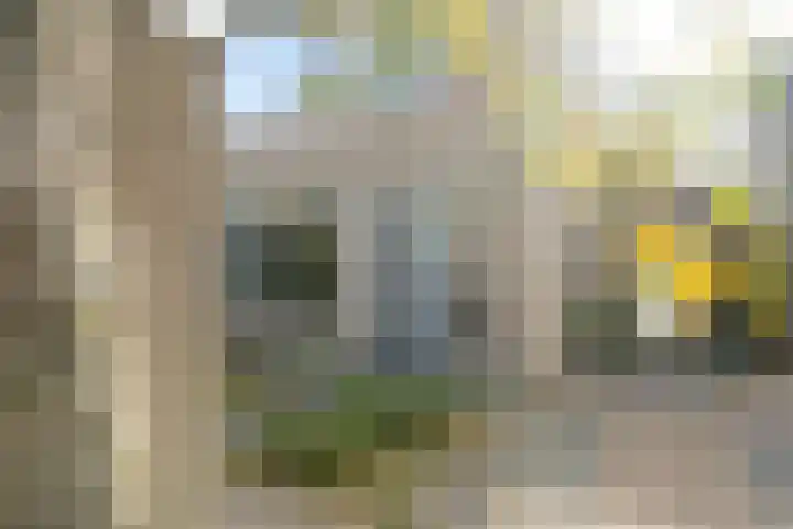 Heggerank 12 Leusden thumbnail 44