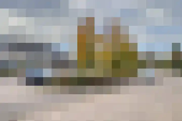 Heggerank 12 Leusden thumbnail 46