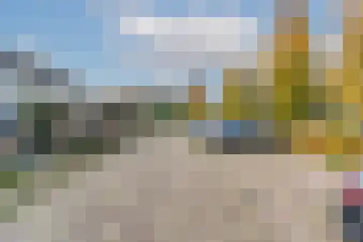 Heggerank 12 Leusden thumbnail 47
