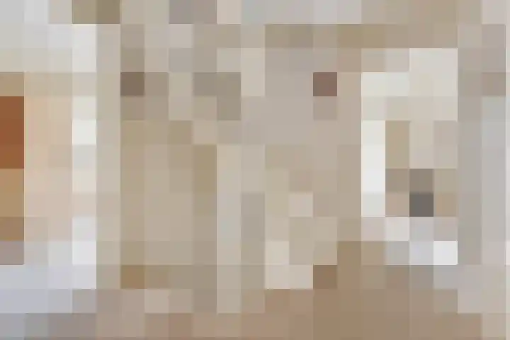 Heggerank 15 Cuijk thumbnail 33