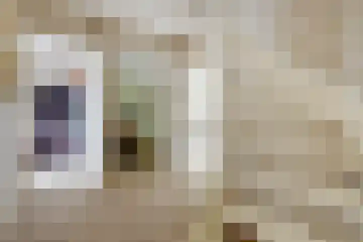 Heggerank 15 Cuijk thumbnail 34