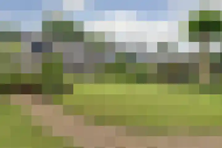 Heggerank 15 Cuijk thumbnail 37