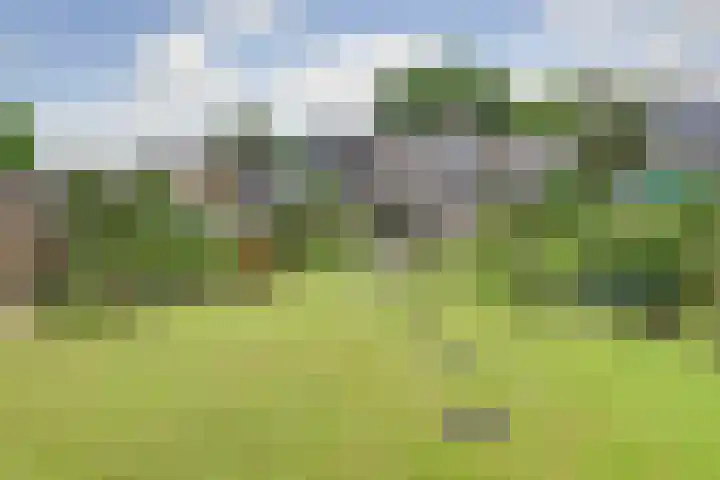 Heggerank 15 Cuijk thumbnail 38