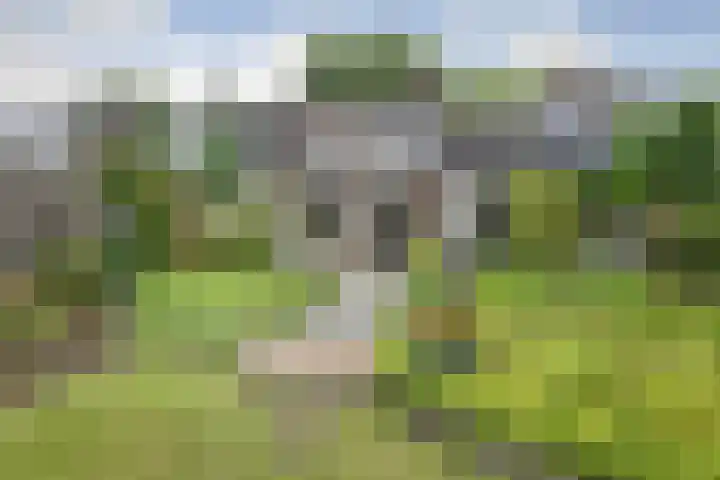 Heggerank 15 Cuijk thumbnail 39