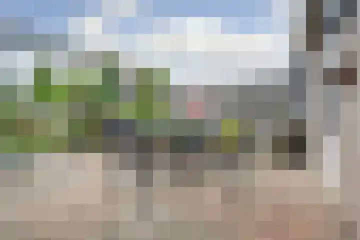 Heggerank 15 Cuijk thumbnail 40