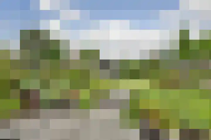 Heggerank 15 Cuijk thumbnail 41