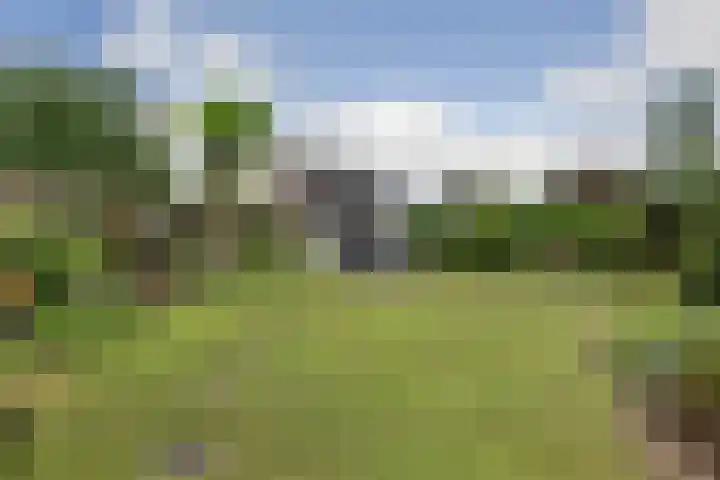 Heggerank 15 Cuijk thumbnail 42