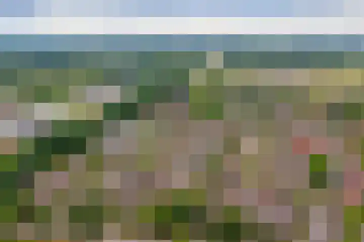 Heggerank 15 Cuijk thumbnail 48