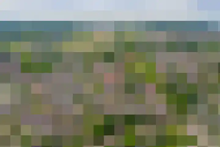 Heggerank 15 Cuijk thumbnail 49
