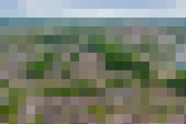 Heggerank 15 Cuijk thumbnail 50