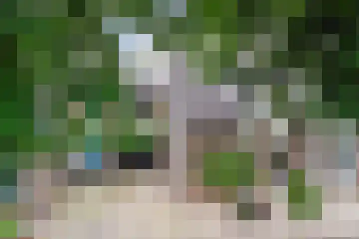 Heggerank 15 Cuijk thumbnail 7