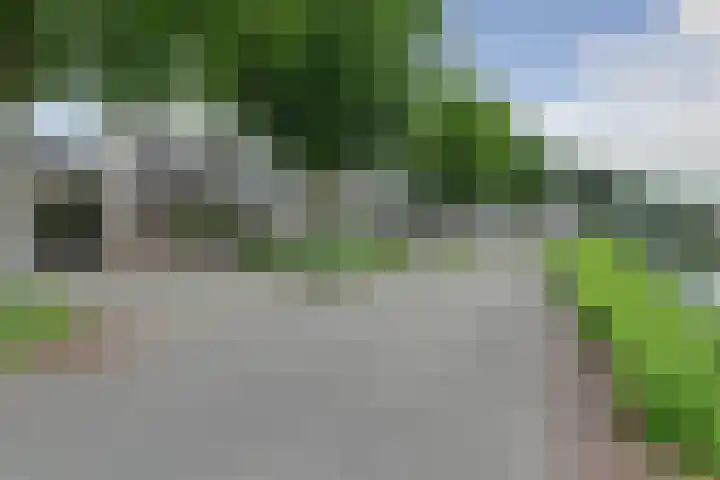 Heggerank 15 Cuijk thumbnail 8