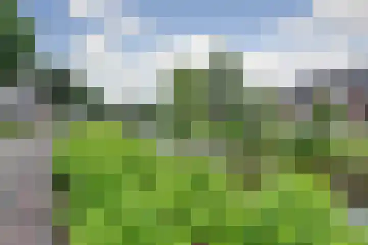 Heggerank 15 Cuijk thumbnail 9