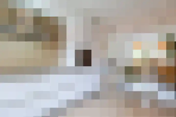 Heggerank 15 Lochem thumbnail 17
