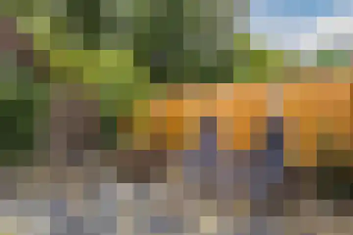 Heggerank 15 Lochem thumbnail 37