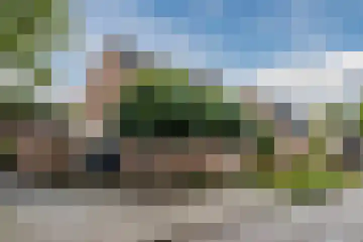 Heggerank 15 Lochem thumbnail 4