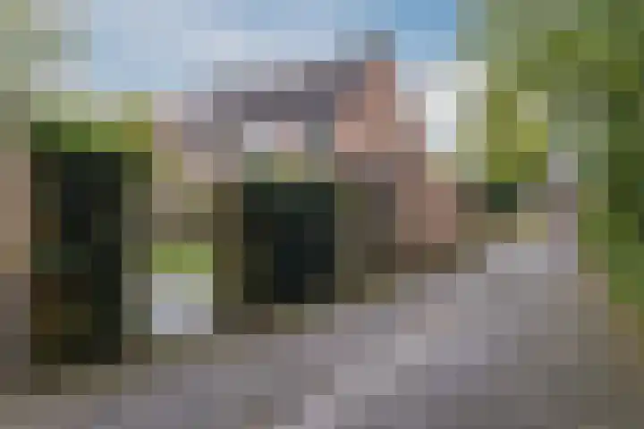 Heggerank 15 Lochem thumbnail 41