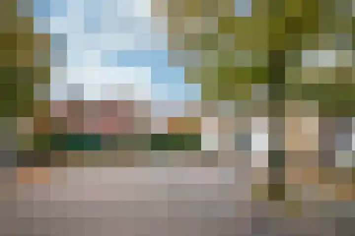 Heggerank 18 Echt thumbnail 18