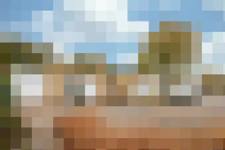 Heggerank 18 Echt thumbnail 19