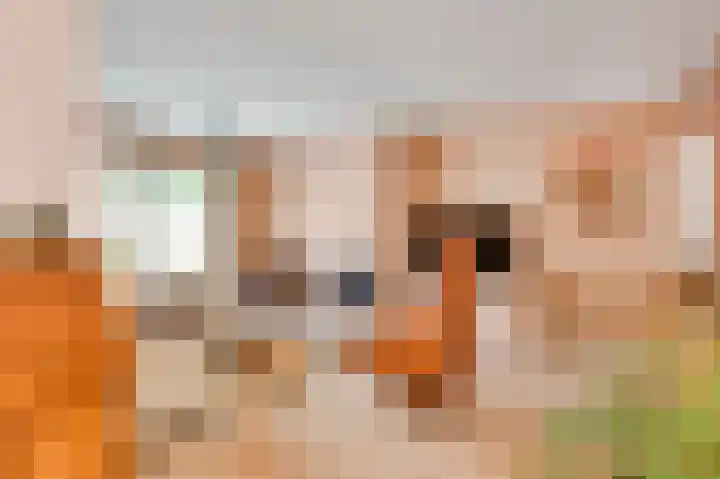 Heggerank 19 Echt thumbnail 12