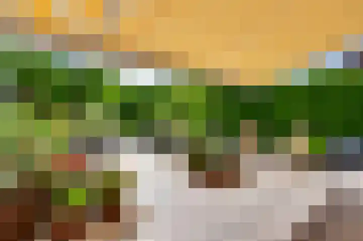 Heggerank 19 Echt thumbnail 32