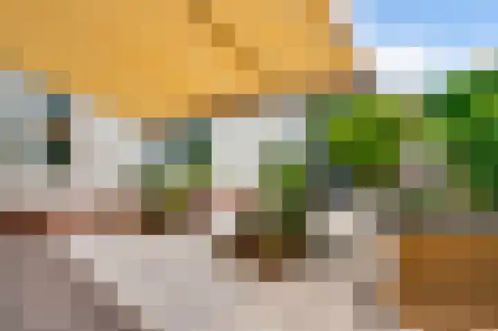 Heggerank 19 Echt thumbnail 33