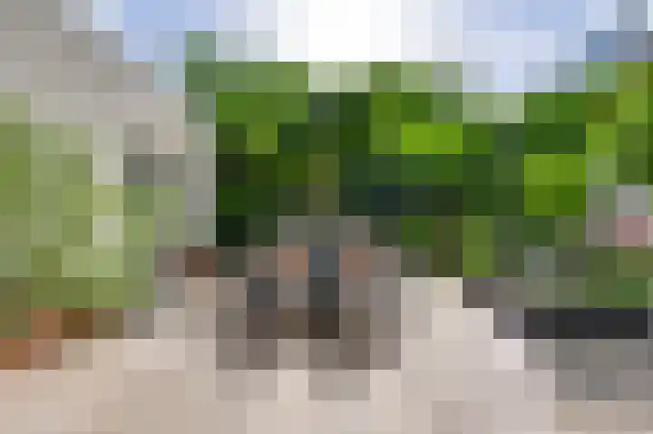 Heggerank 19 Echt thumbnail 34
