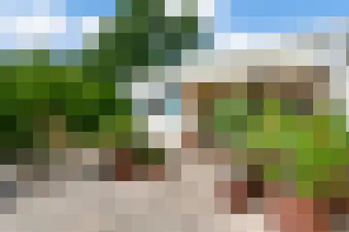 Heggerank 19 Echt thumbnail 35
