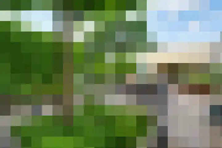 Heggerank 19 Echt thumbnail 36