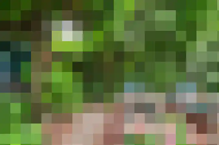 Heggerank 19 Echt thumbnail 38