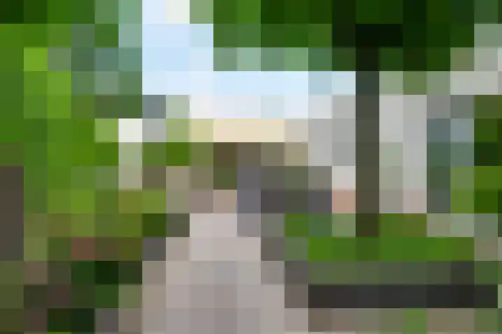 Heggerank 19 Echt thumbnail 4