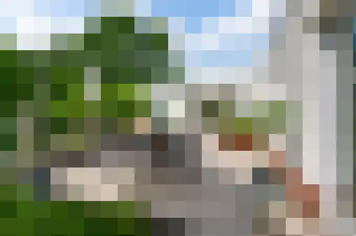 Heggerank 19 Echt thumbnail 41