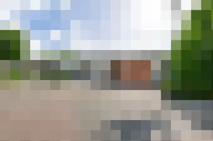 Heggerank 19 Echt thumbnail 42