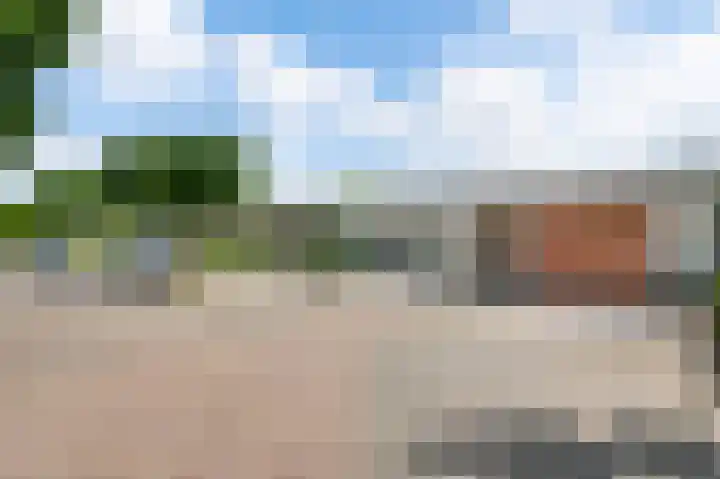 Heggerank 19 Echt thumbnail 43