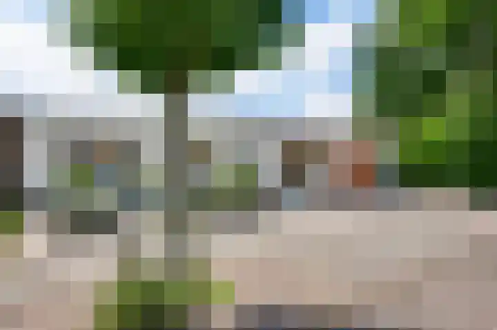 Heggerank 19 Echt thumbnail 44