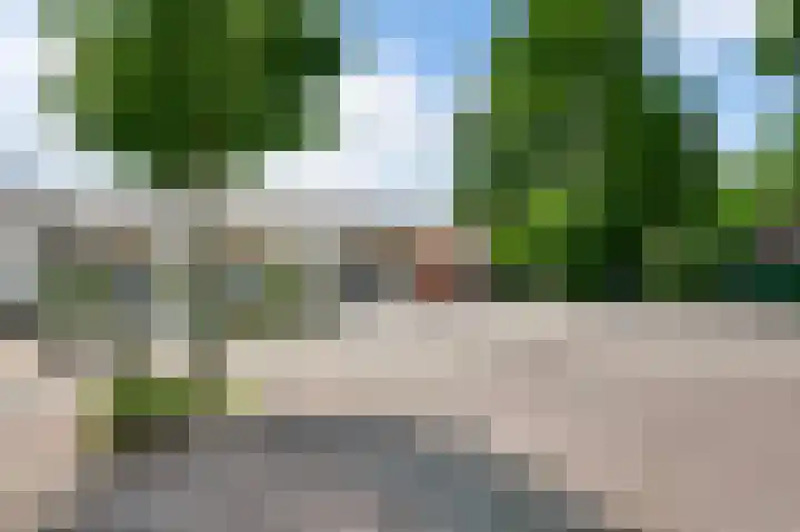 Heggerank 19 Echt thumbnail 45