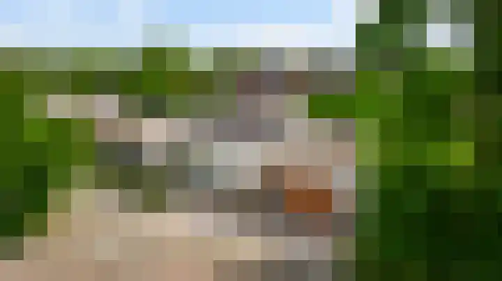 Heggerank 19 Echt thumbnail 46