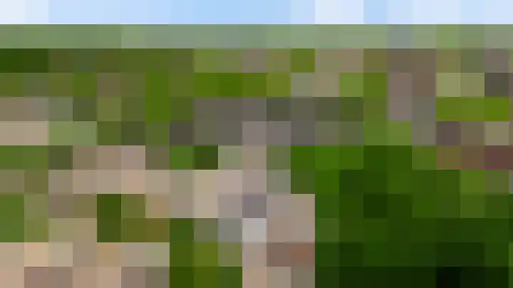 Heggerank 19 Echt thumbnail 48